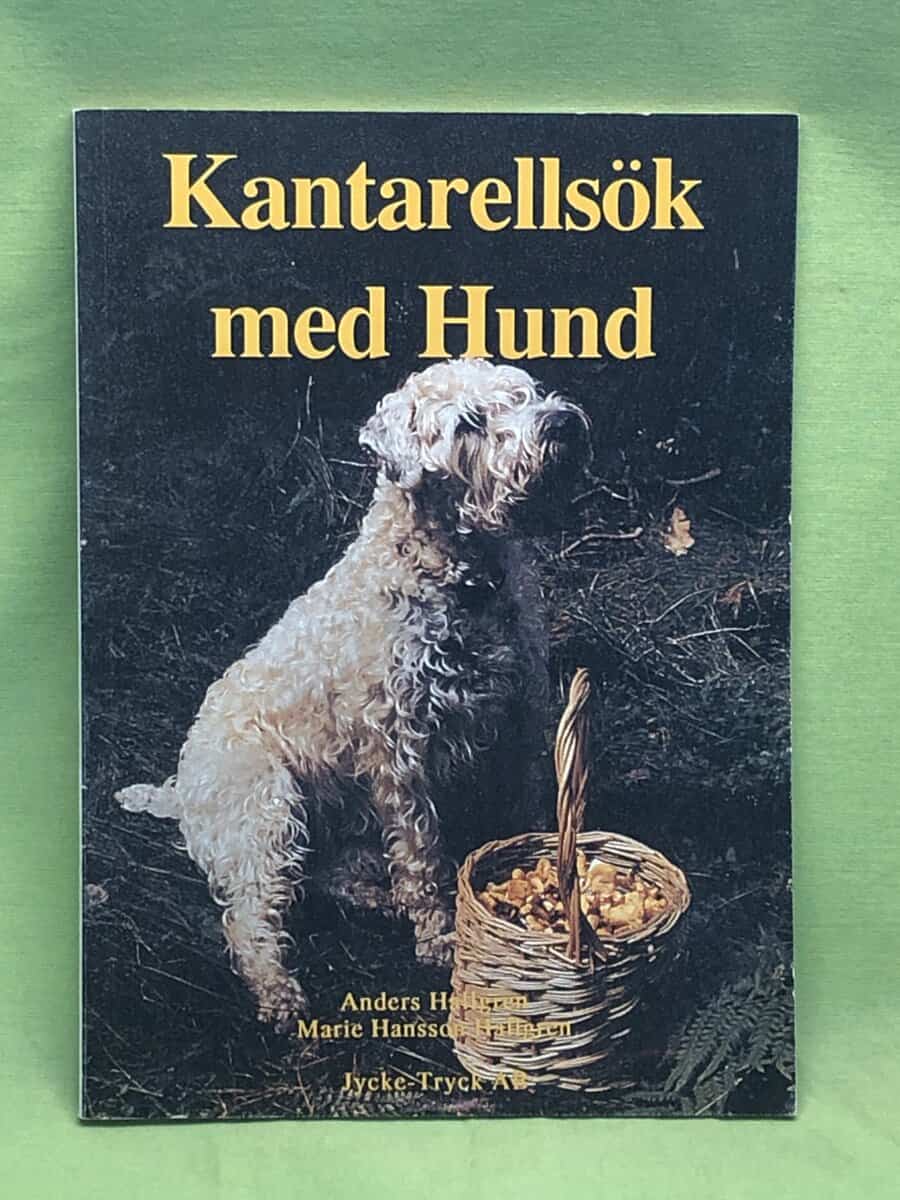 Anders Hallgren ; Marie Hansson : Kantarellsök med hund