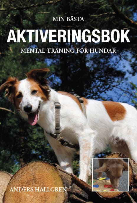 Anders Hallgren : Min bästa aktiveringsbok