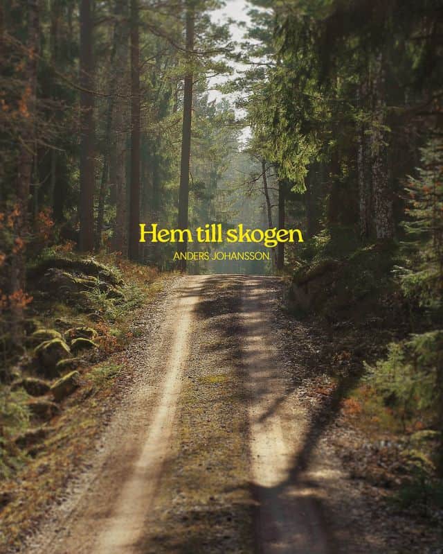 Anders Johansson : Hem till skogen