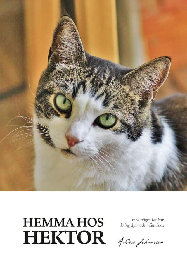 Anders Johansson : Hemma hos Hektor