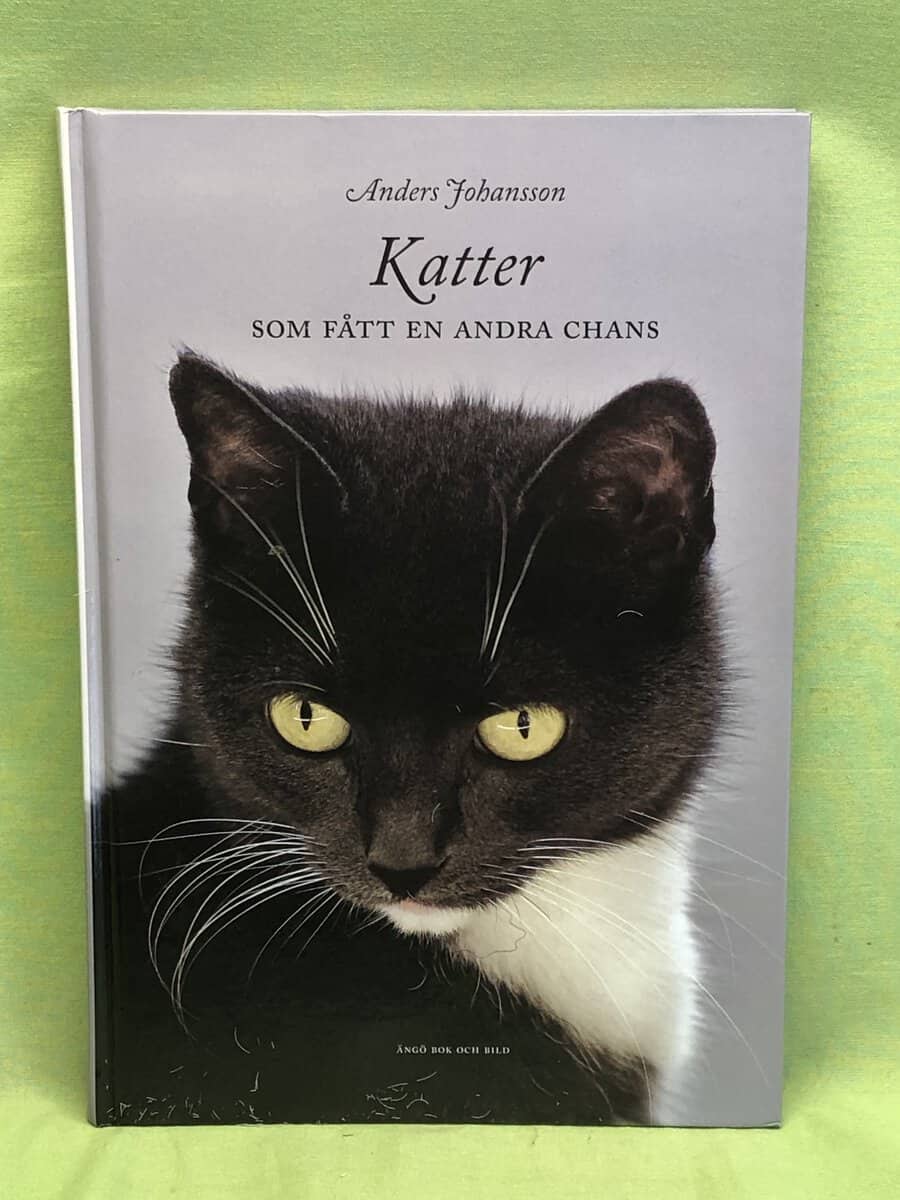 Anders Johansson : Katter som fått en andra chans