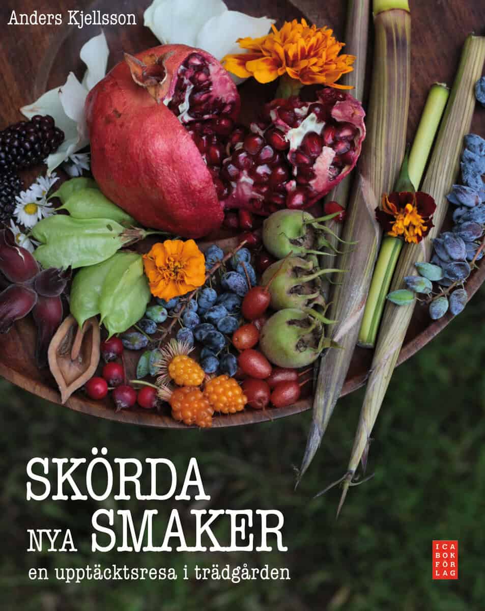 Anders Kjellsson : Skörda nya smaker : en upptäcktsresa i trädgården