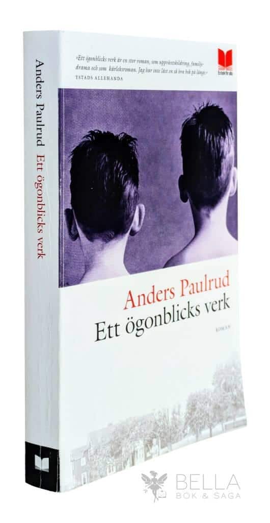 Anders Paulrud : Ett ögonblicks verk