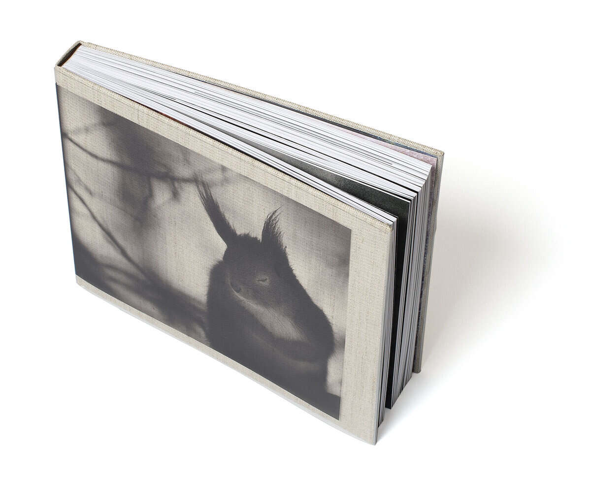 Andersson, Mats ; Minkkinen, Arno Rafael : Nature diary