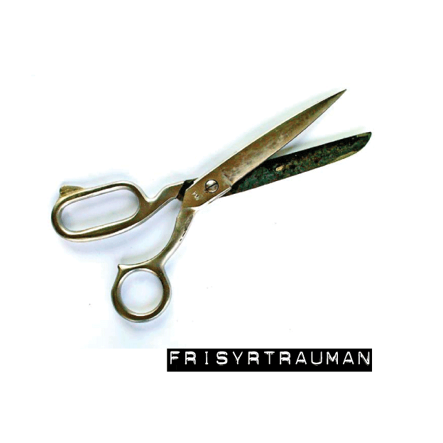 Andersson, Sara ; Melin, Ing-Britt ; Rosengren, Jeanette : Frisyrtrauman