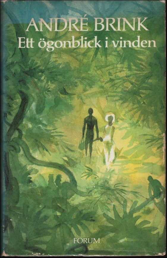 André Brink : Ett ögonblick i vinden