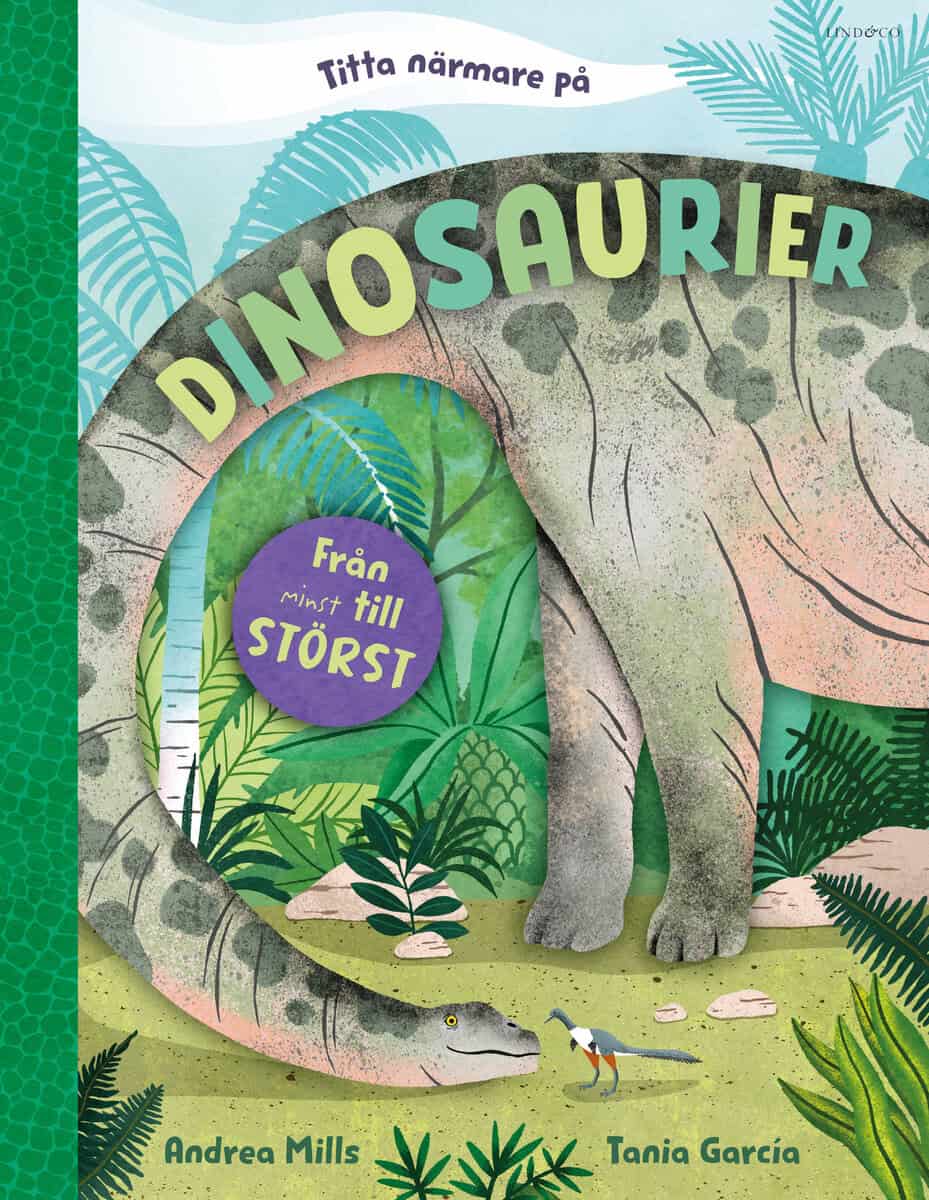 Andrea Mills : Titta närmare på dinosaurier