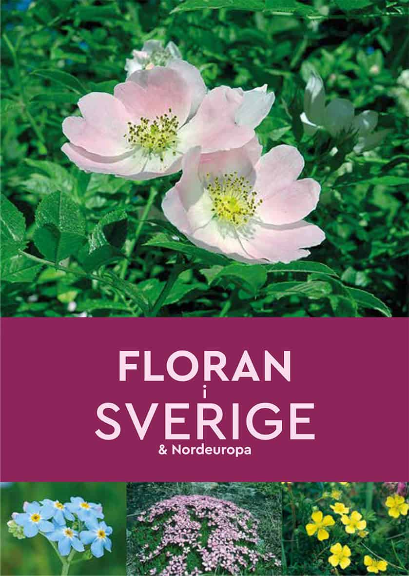 Andrew Cleave : Floran i Sverige & Nordeuropa