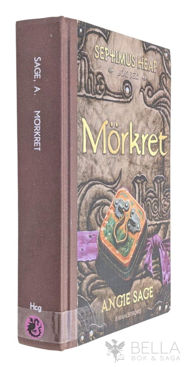 Angie Sage : Mörkret