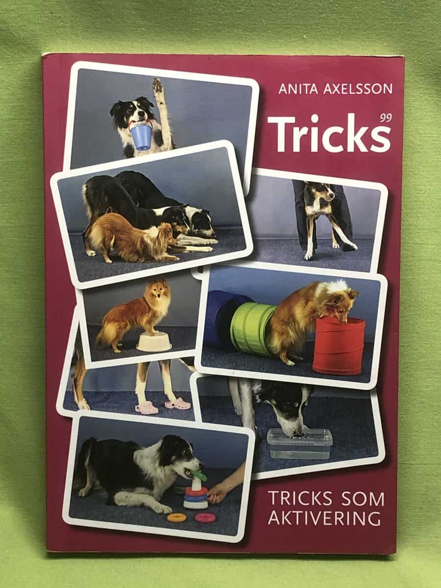 Anita Axelsson : Tricks som aktivering 99