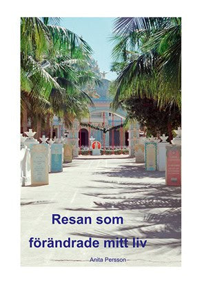 Anita Persson : Resan som förändrade mitt liv
