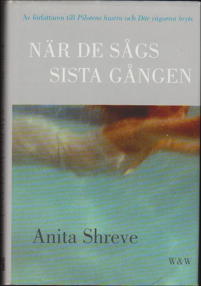 Anita Shreve : När de sågs sista gången