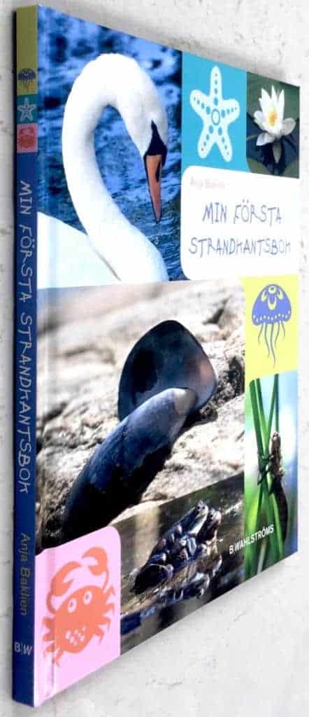 Anja Baklien ; Evelina Thörnberg : Min första strandkantsbok