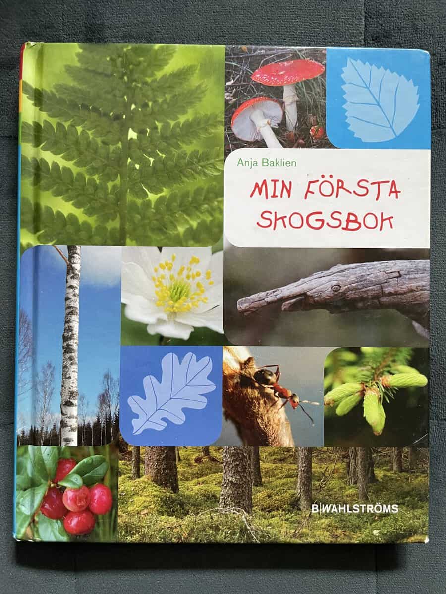 Anja Baklien : Min första skogsbok
