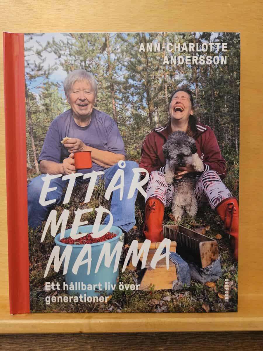 Ann-Charlotte Andersson : Ett år med mamma