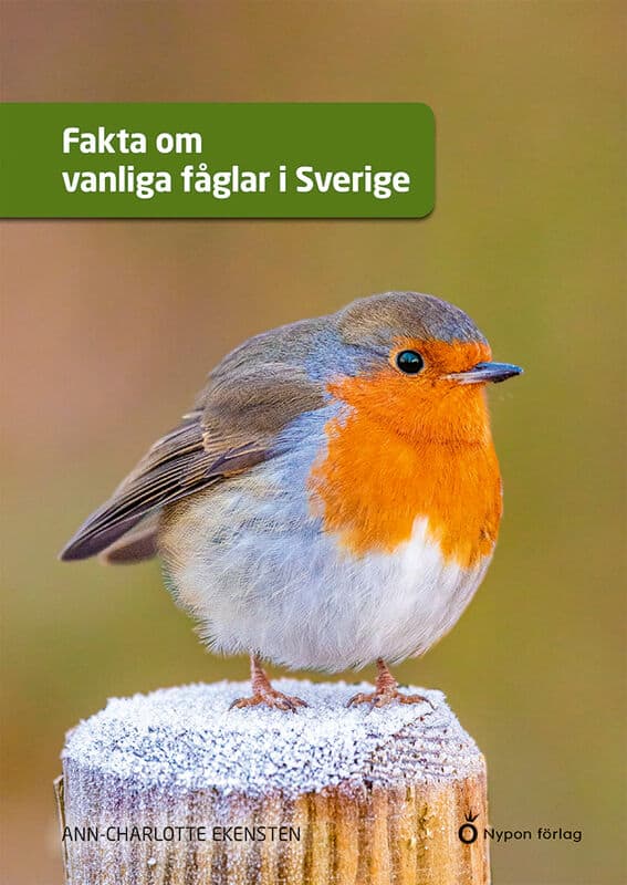 Ann-Charlotte Ekensten : Fakta om vanliga fåglar i Sverige
