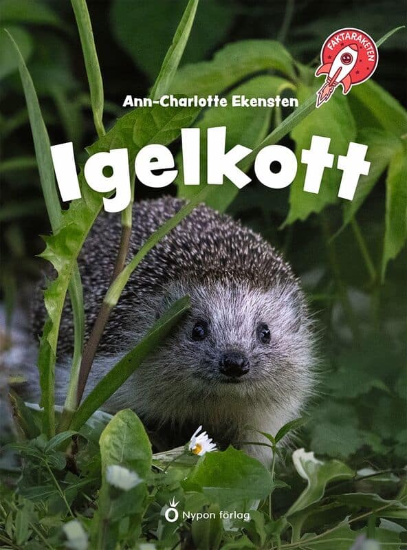Ann-Charlotte Ekensten : Igelkott