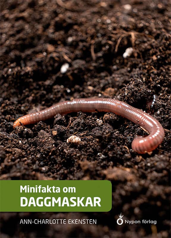 Ann-Charlotte Ekensten : Minifakta om daggmaskar