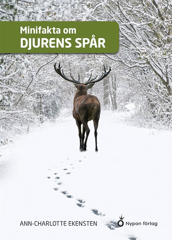 Ann-Charlotte Ekensten : Minifakta om djurens spår