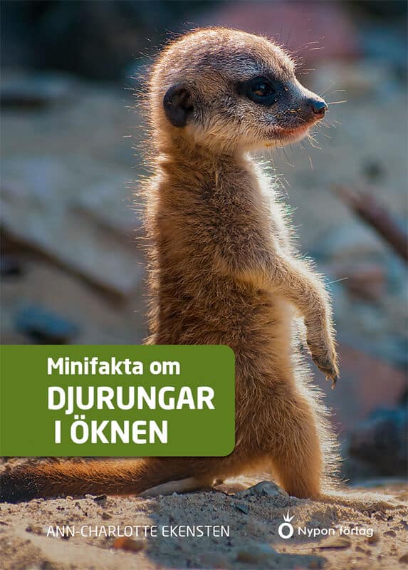 Ann-Charlotte Ekensten : Minifakta om djurungar i öknen