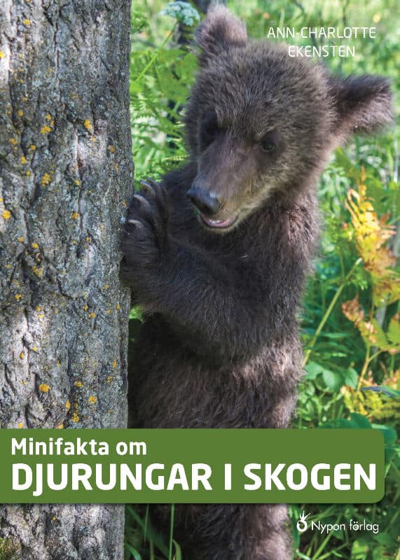 Ann-Charlotte Ekensten : Minifakta om djurungar i skogen