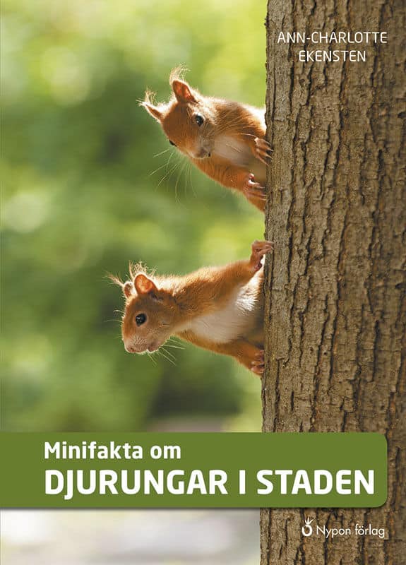 Ann-Charlotte Ekensten : Minifakta om djurungar i staden