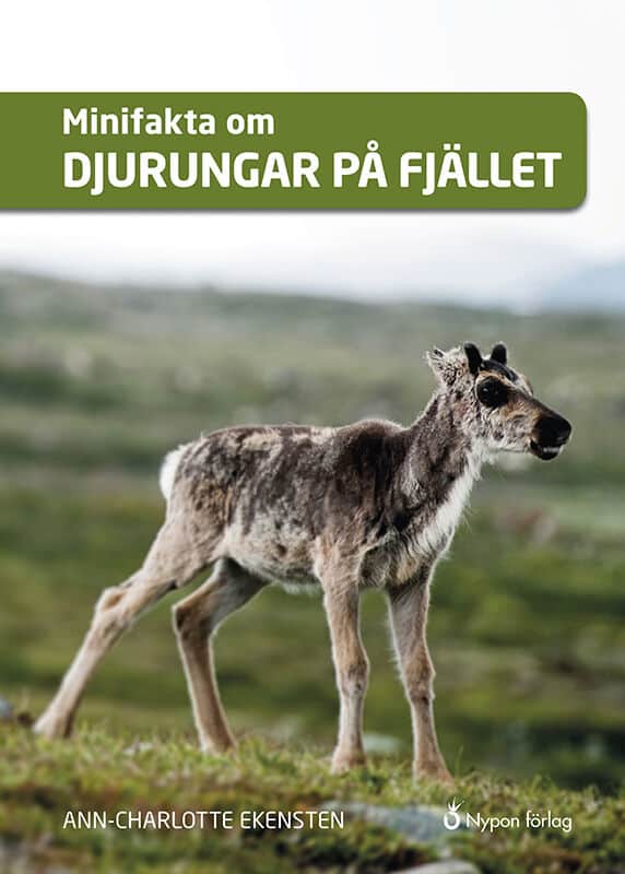 Ann-Charlotte Ekensten : Minifakta om djurungar på fjället
