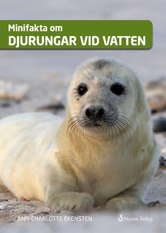 Ann-Charlotte Ekensten : Minifakta om djurungar vid vatten