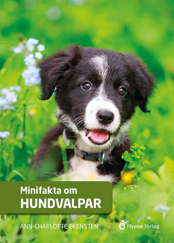 Ann-Charlotte Ekensten : Minifakta om hundvalpar