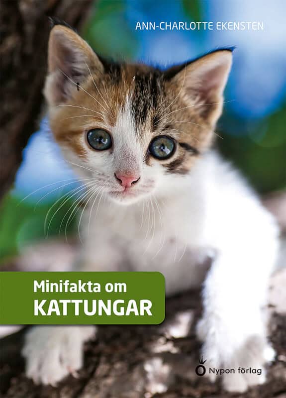 Ann-Charlotte Ekensten : Minifakta om kattungar