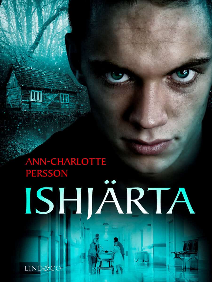 Ann-Charlotte Persson : Ishjärta