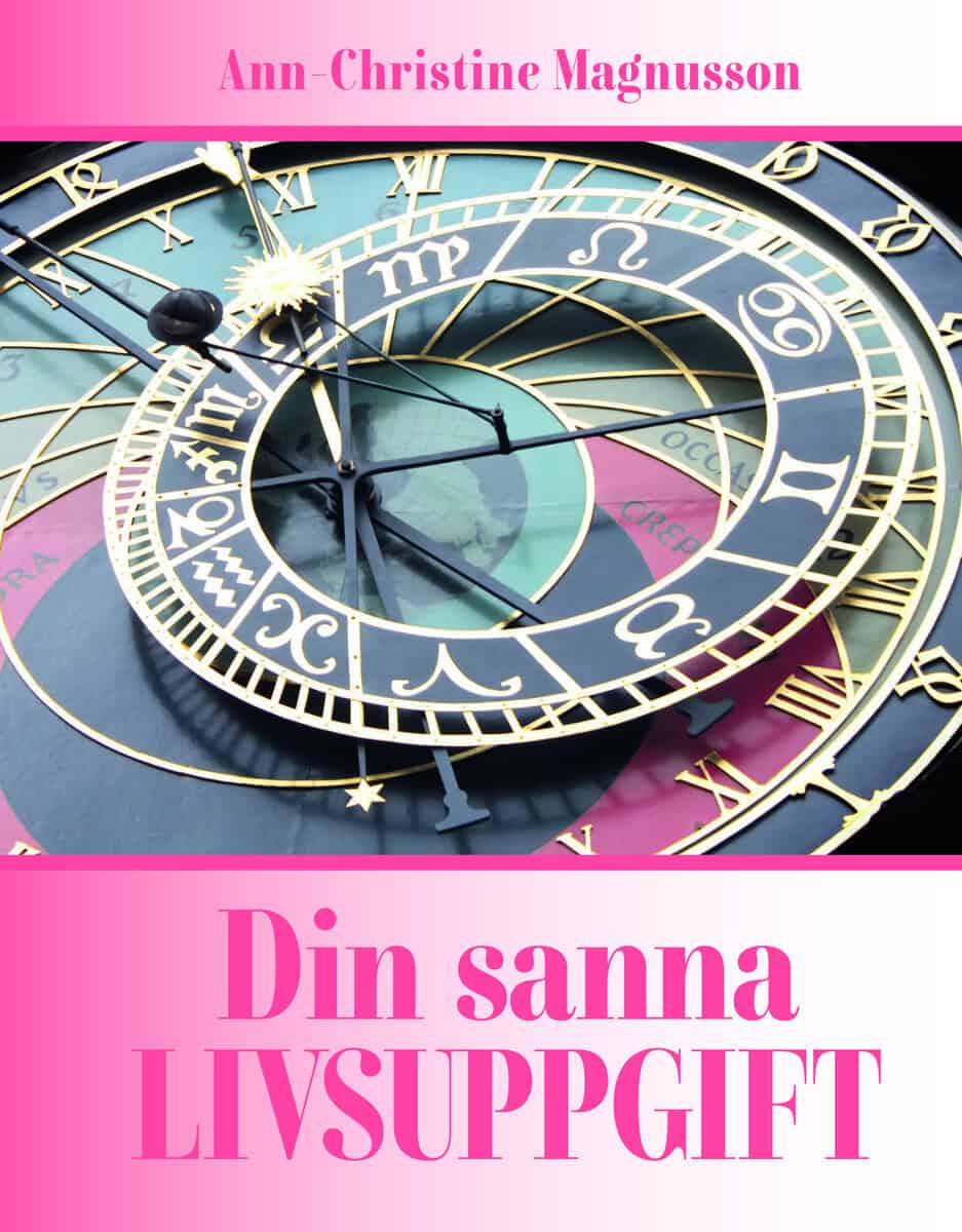 Ann-Christine Magnusson : Din sanna livsuppgift