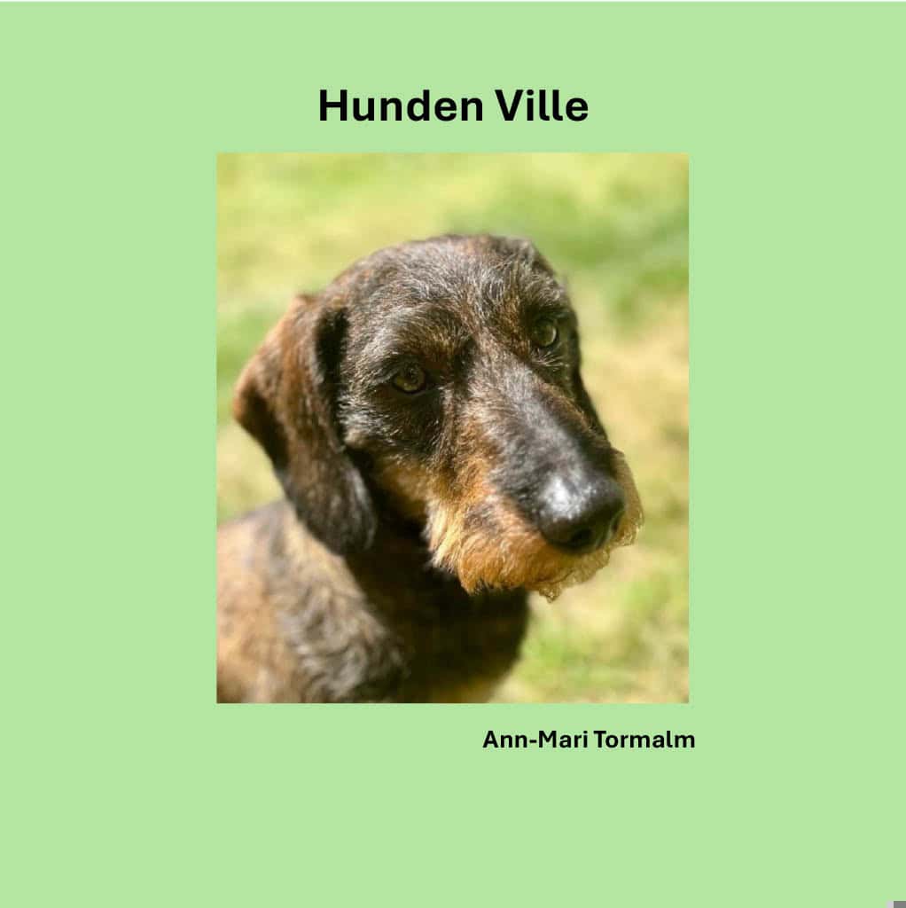 Ann-Mari Tormalm : Hunden Ville