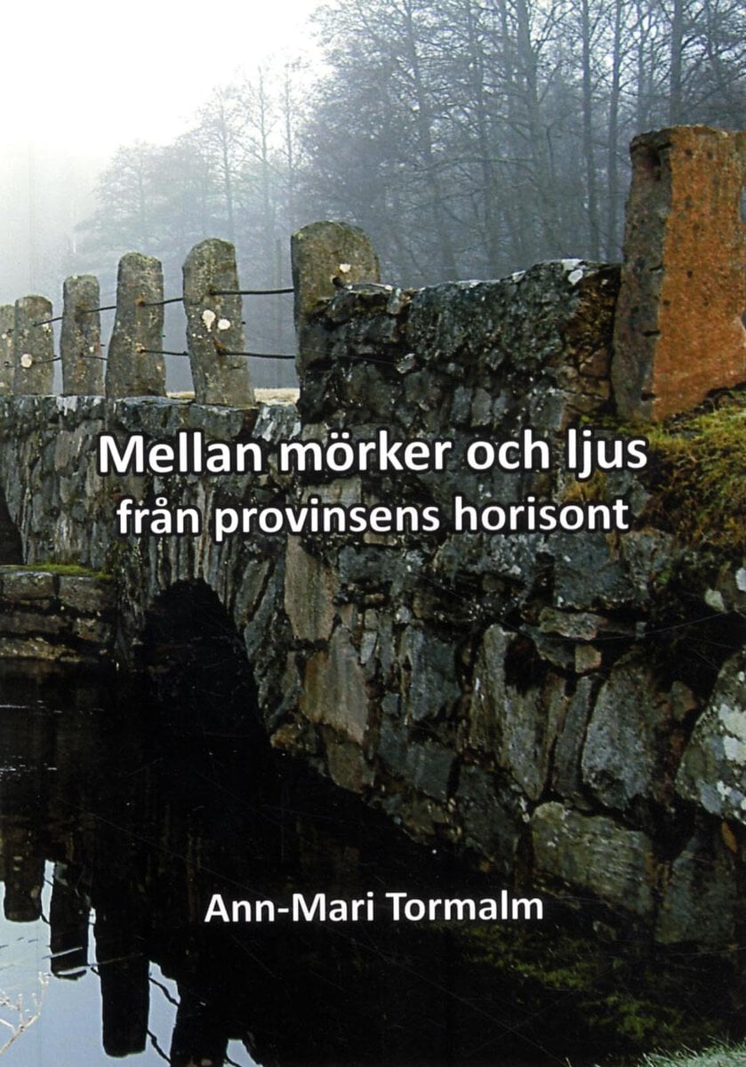 Ann-Mari Tormalm : Mellan mörker och ljus : från provinsens horisont