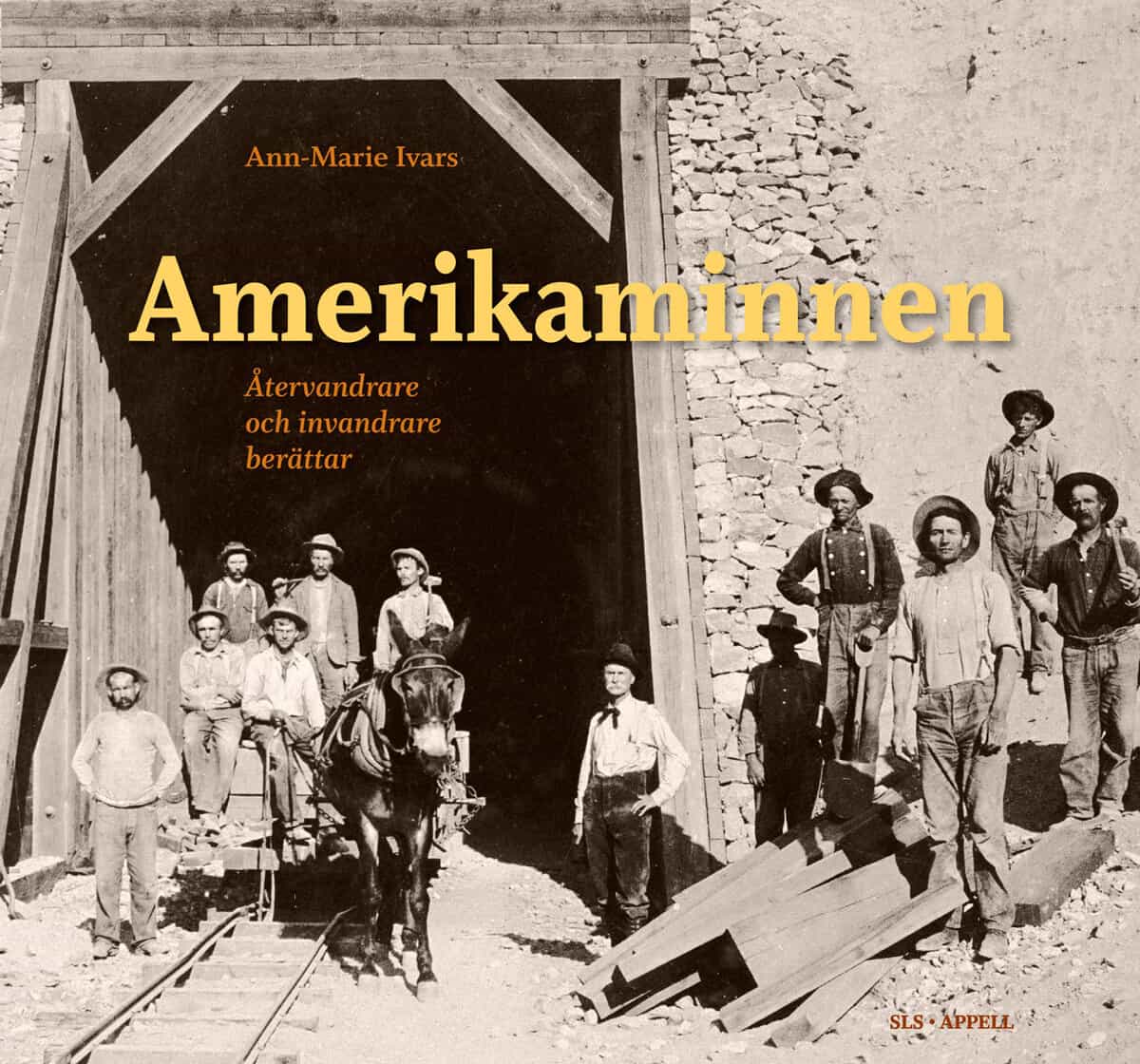 Ann-Marie Ivars : Amerikaminnen : återvandrare och invandrare berättar