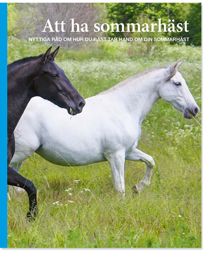 Ann Svärding : Att ha sommarhäst