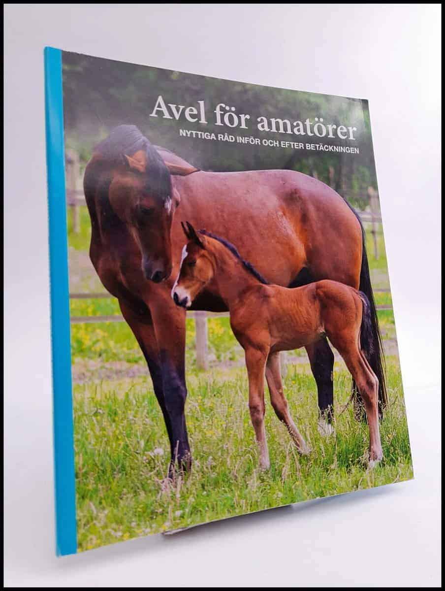 Ann Svärding : Avel för amatörer