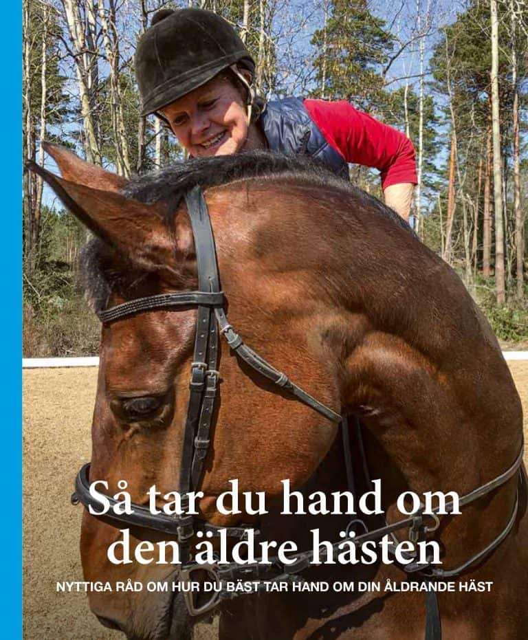 Ann Svärding : Så tar du hand om den äldre hästen