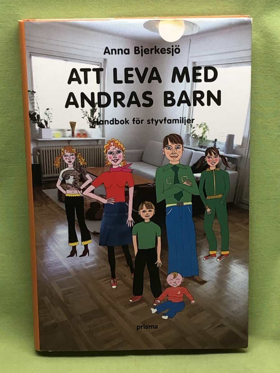 Anna Bjerkesjö : Att leva med andras barn
