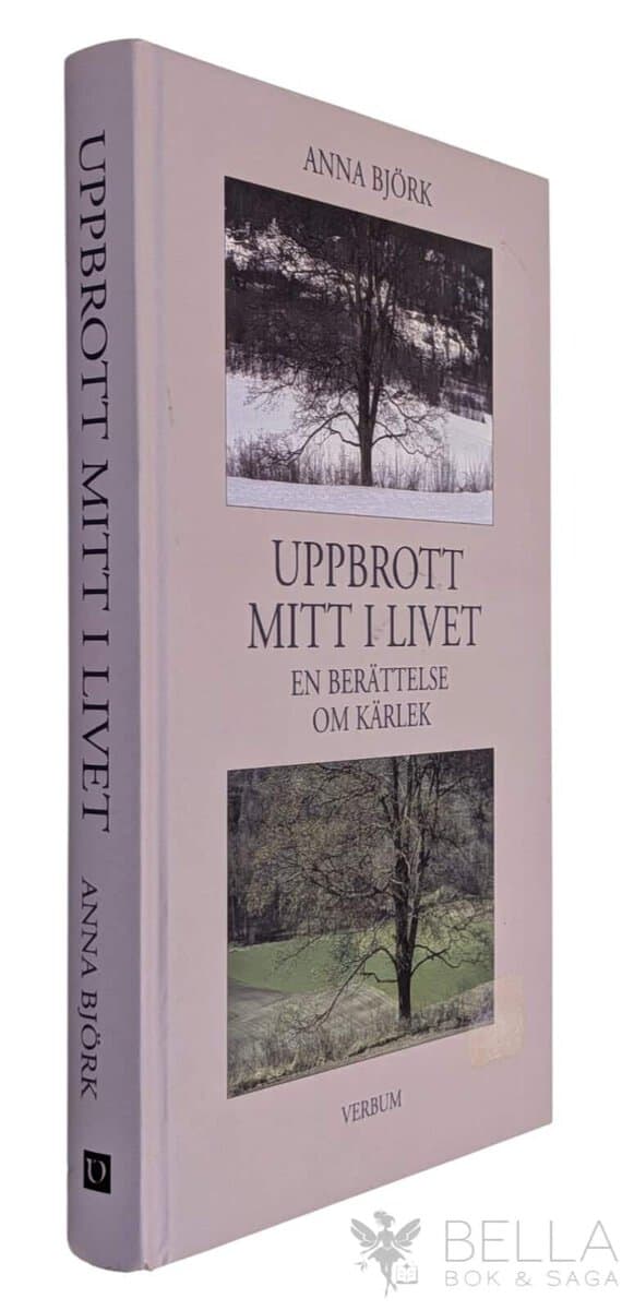 Anna Björk : Uppbrott mitt i livet