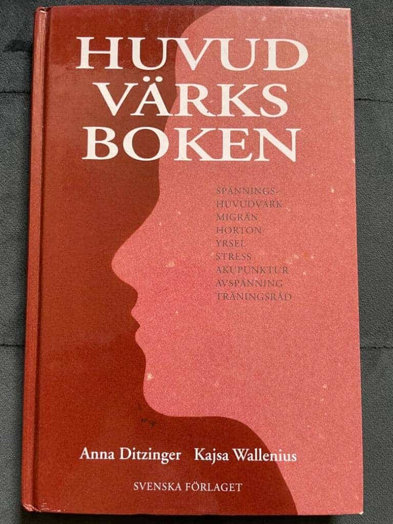 Anna Ditzinger : Huvudvärksboken