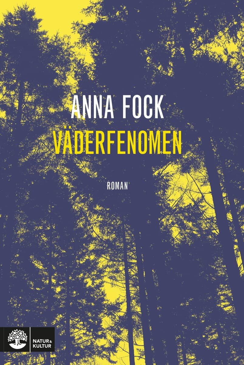 Anna Fock : Väderfenomen