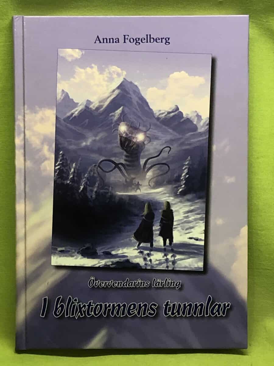 Anna Fogelberg : I blixtormens tunnlar