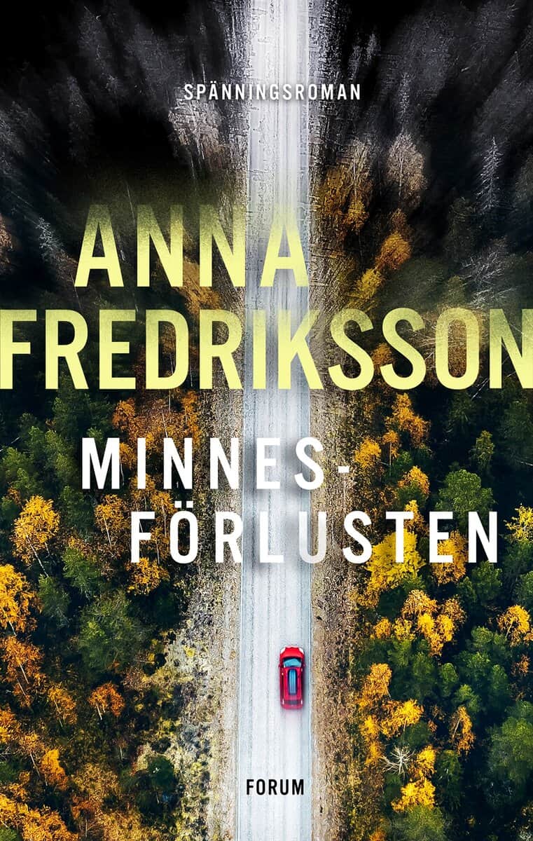 Anna Fredriksson : Minnesförlusten