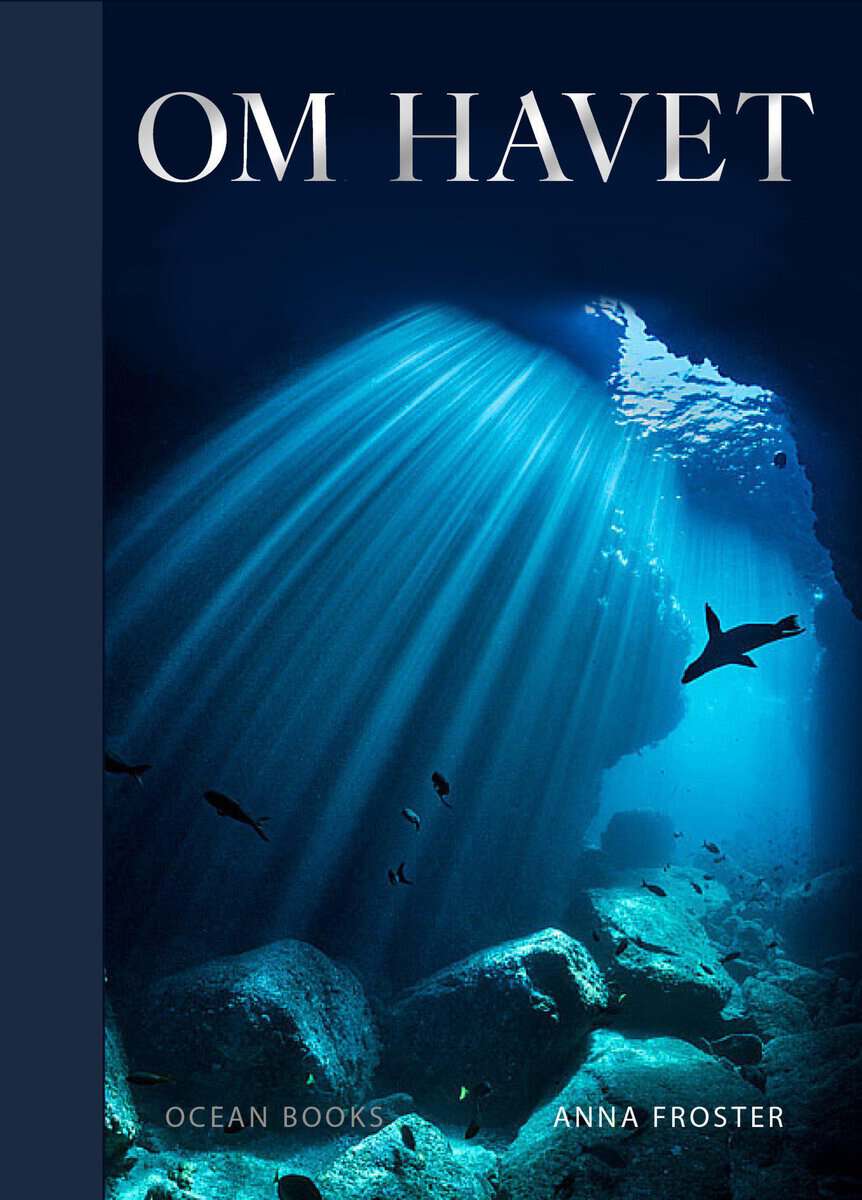 Anna Froster : Om havet