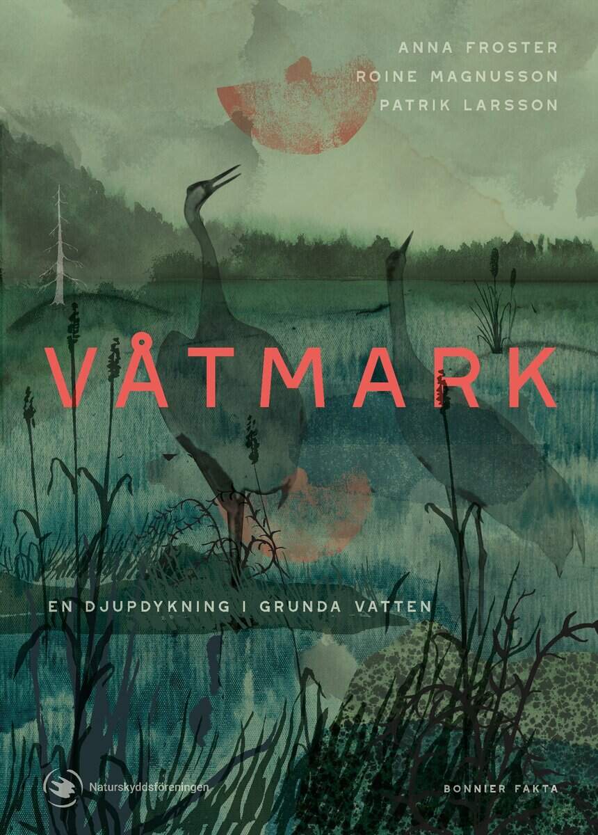 Anna Froster : Våtmark : en djupdykning i grunda vatten