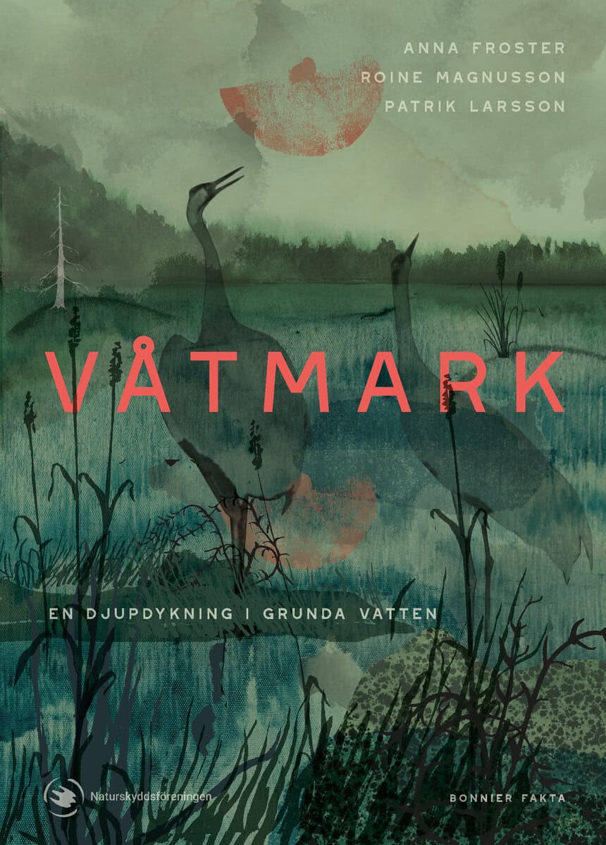 Anna Froster : Våtmark : en djupdykning i grunda vatten