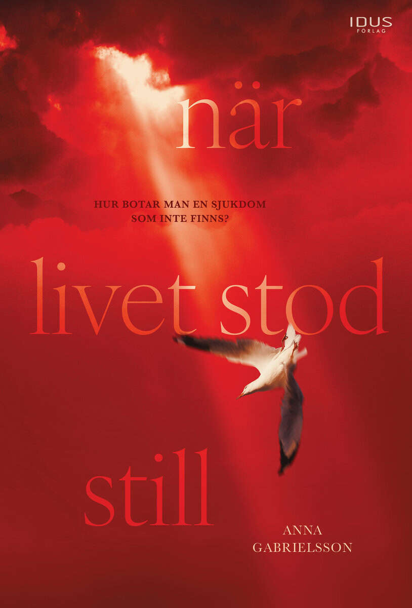 Anna Gabrielsson : När livet stod still