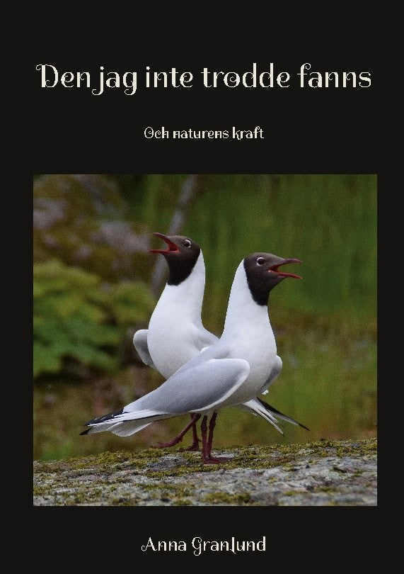 Anna Granlund : Den jag inte trodde fanns