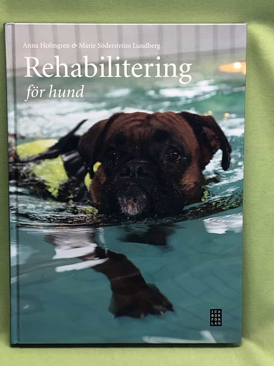 Anna Holmgren : Rehabilitering för hund
